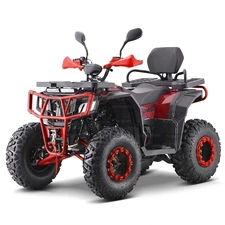 Бензиновый квадроцикл AT200L-2-3 черно-красный с фаркопом